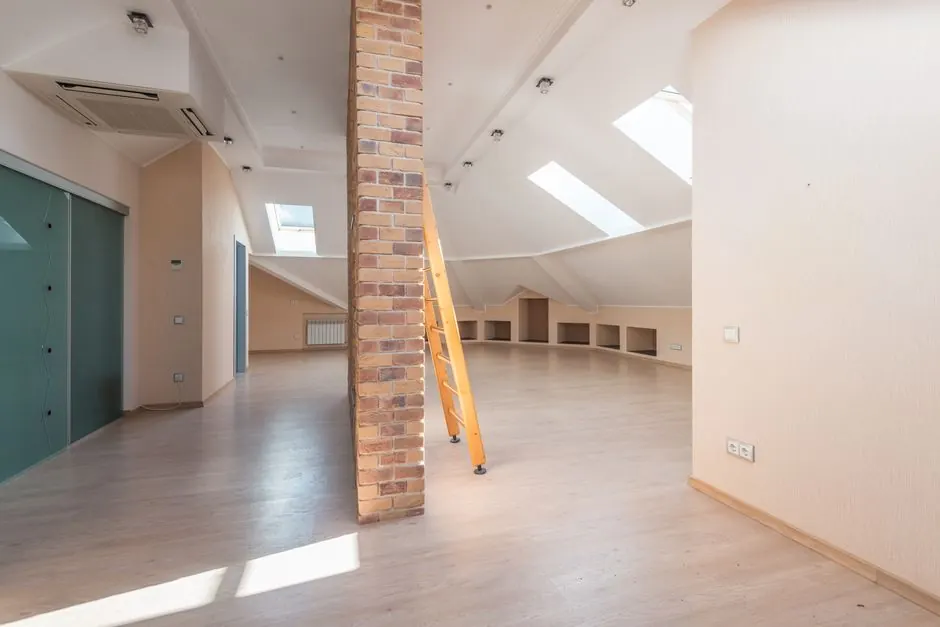 Signs of Rats in Your Attic and What to Do First
