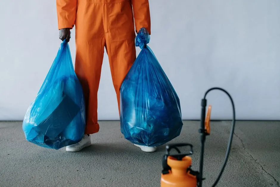 rodent removal Arcadia in Arcadia, California